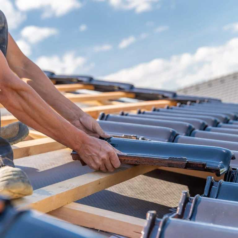 Shingle Roof