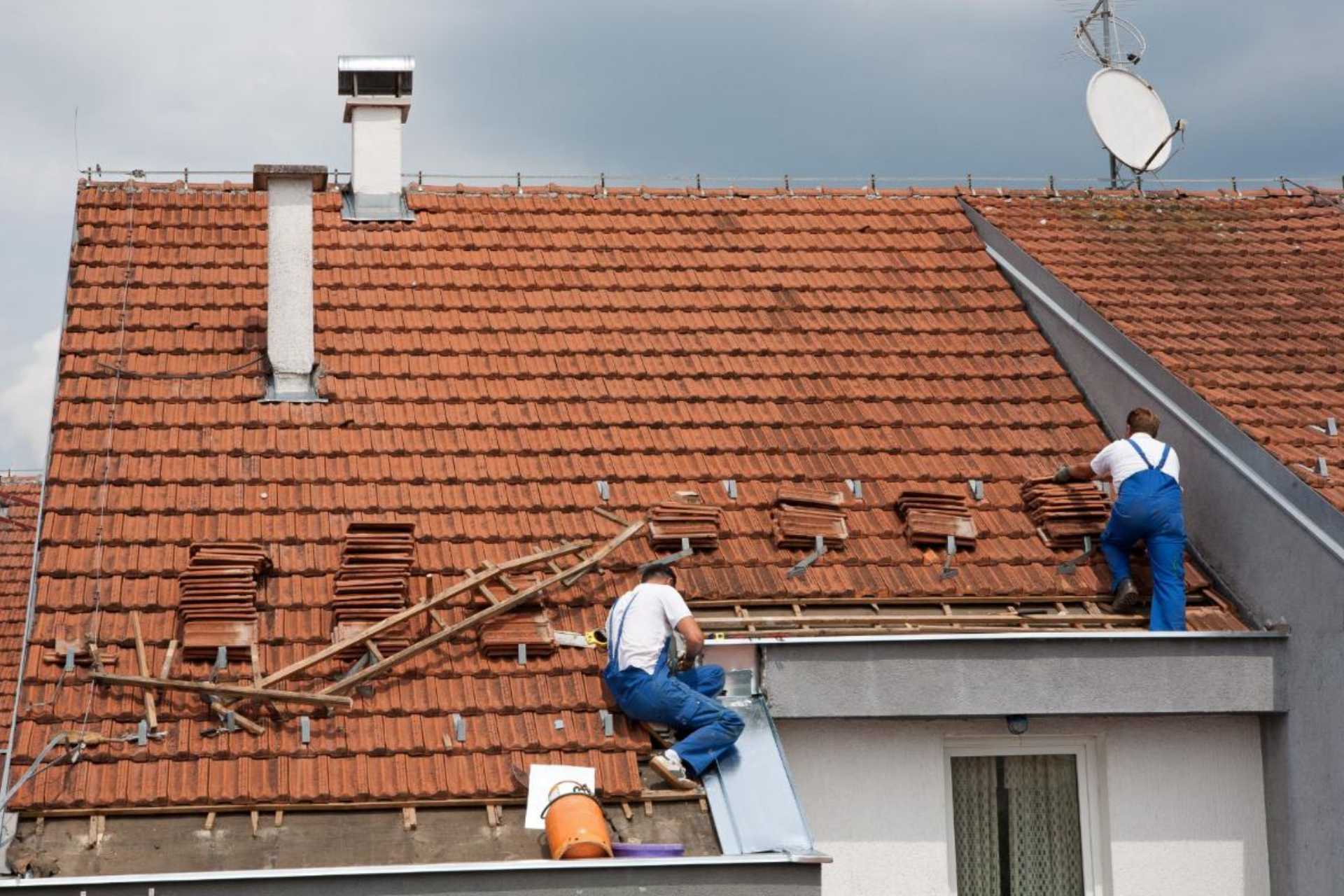 Shingle Roof