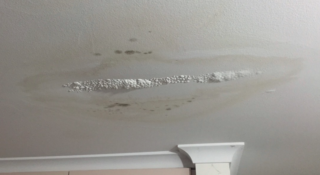 leak detection